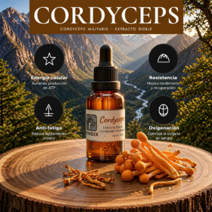 Cordyceps - Energía y Vitalidad